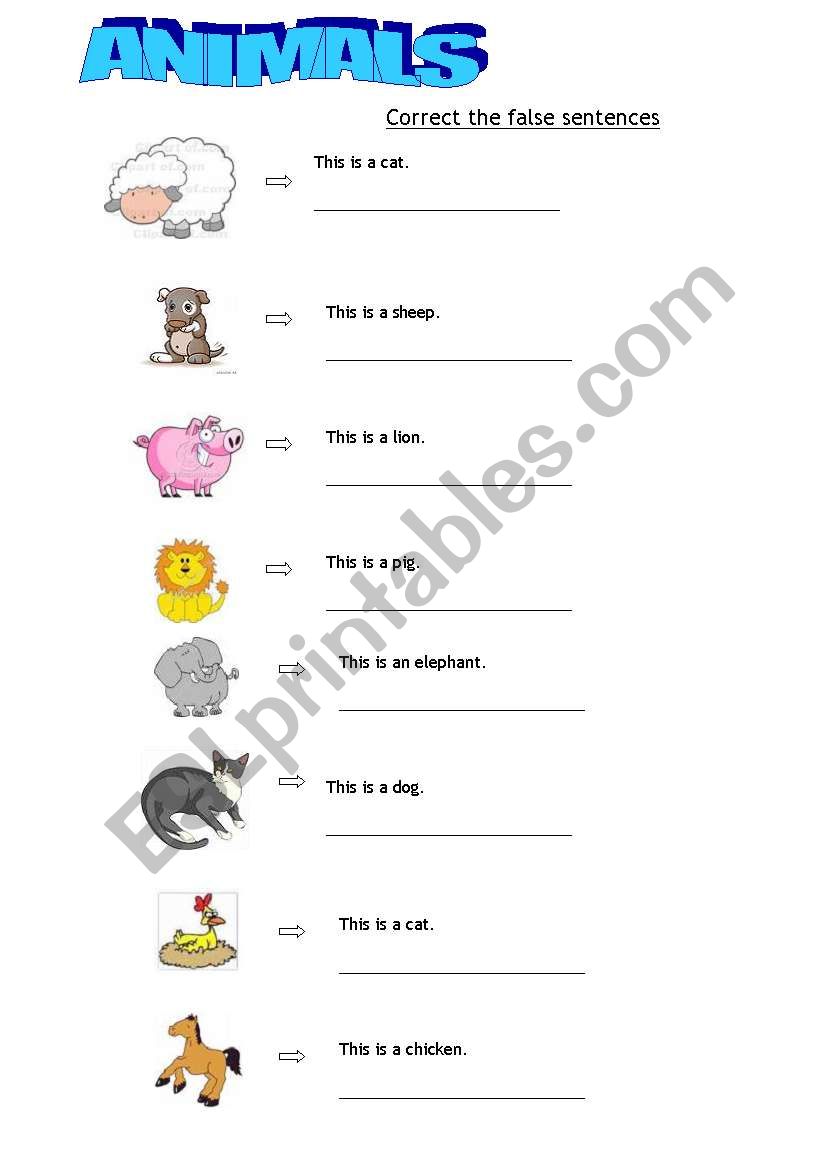 Animals worksheet