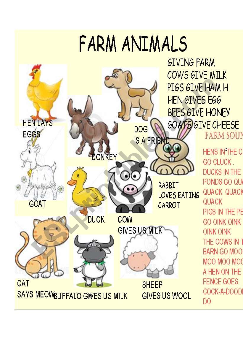 FARM ANIMALS - ESL worksheet by drreena