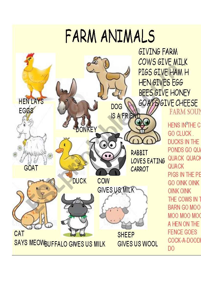 FARM ANIMALS worksheet