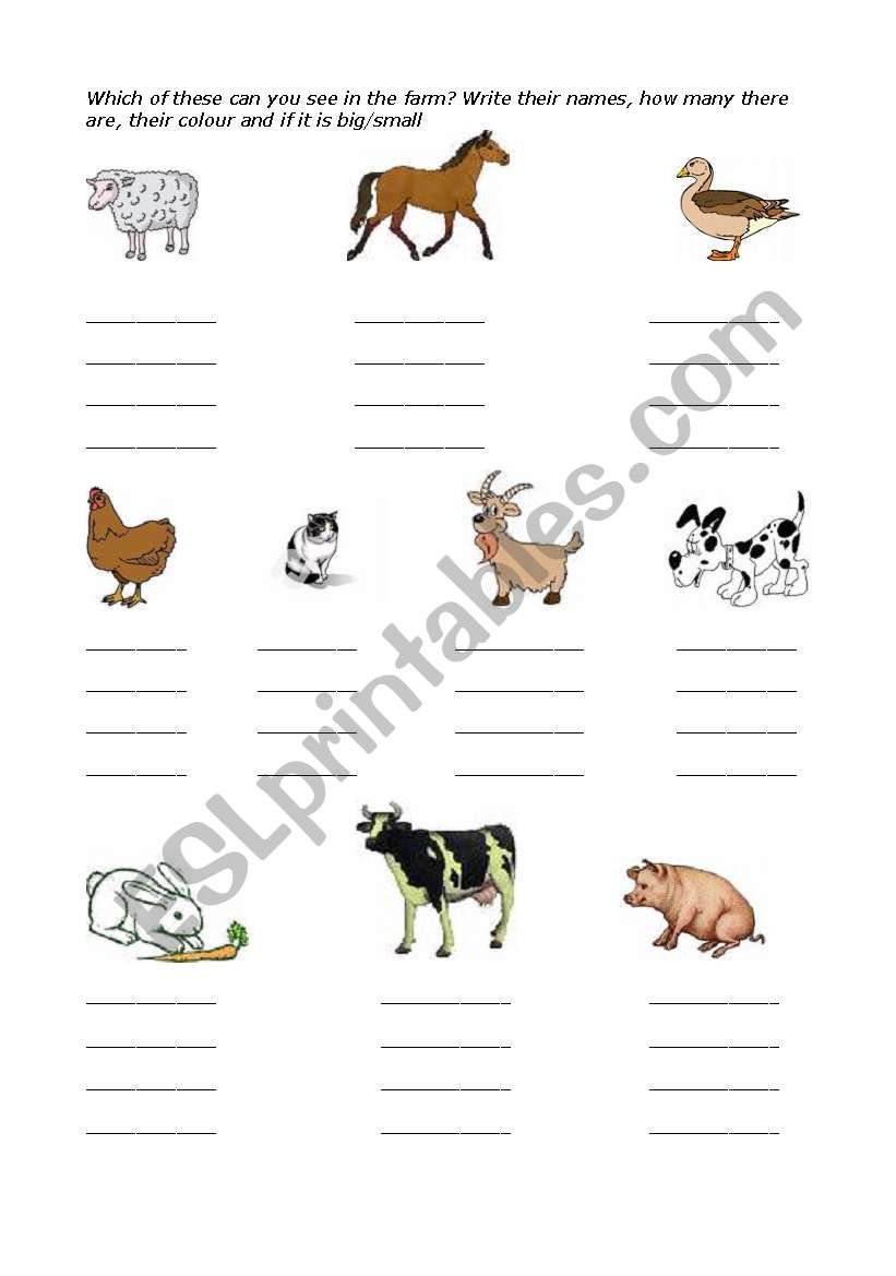 Farm animals worksheet