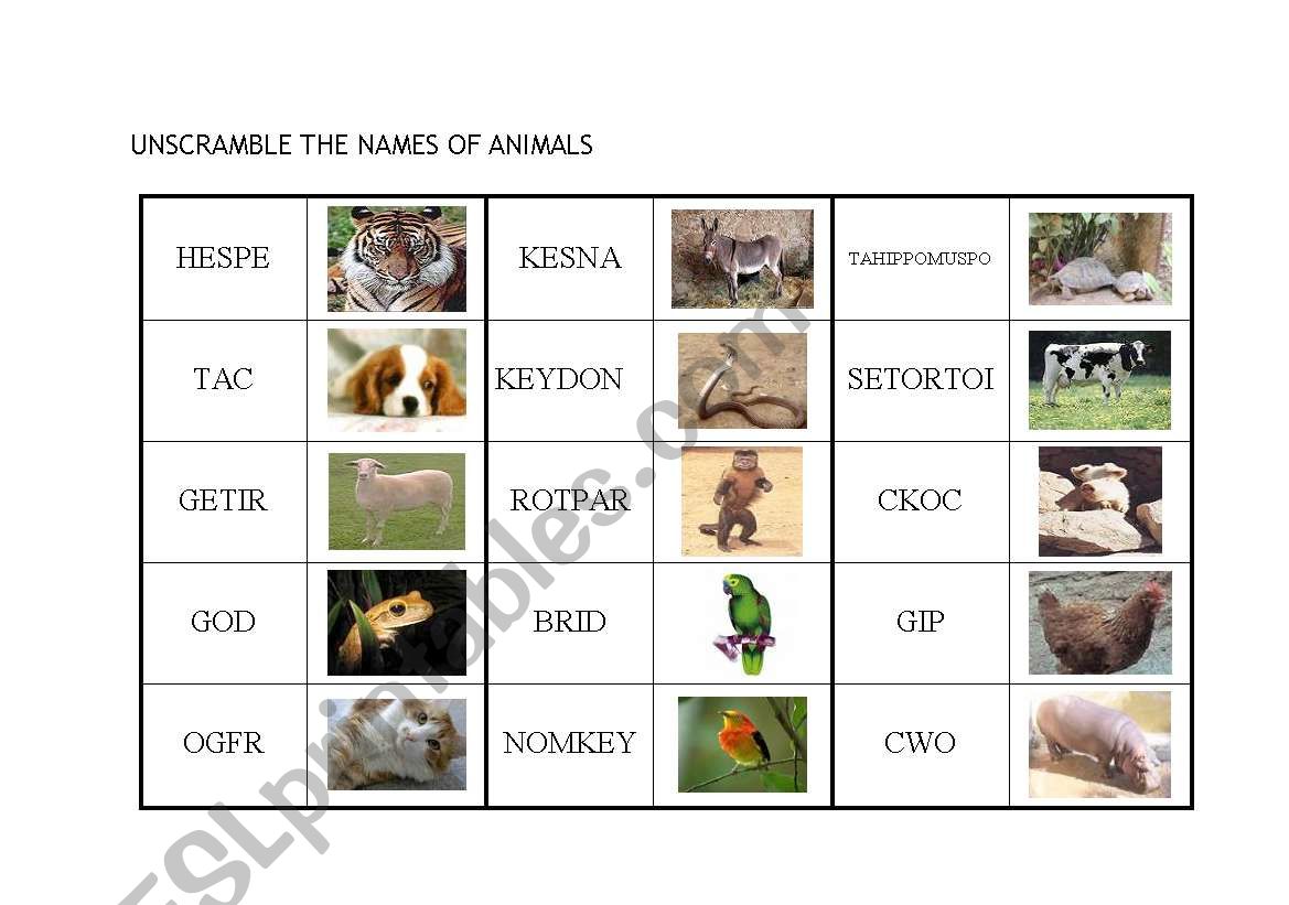 UNSCRAMBLE THE NAMES OF ANIMALS