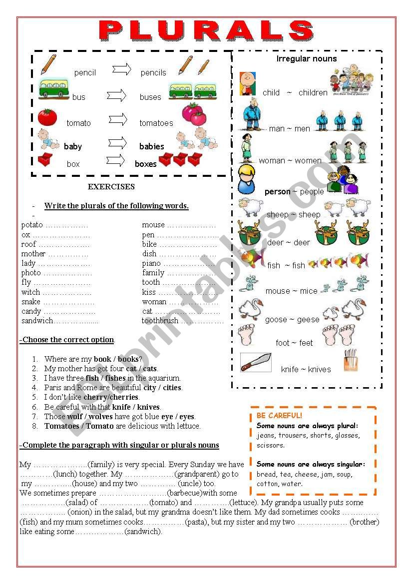 PLURAL OF NOUNS worksheet