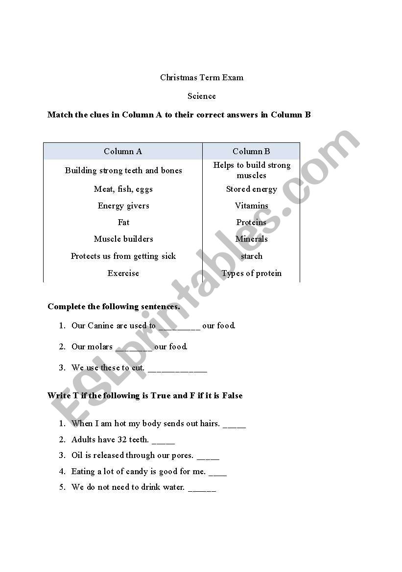 Science  worksheet