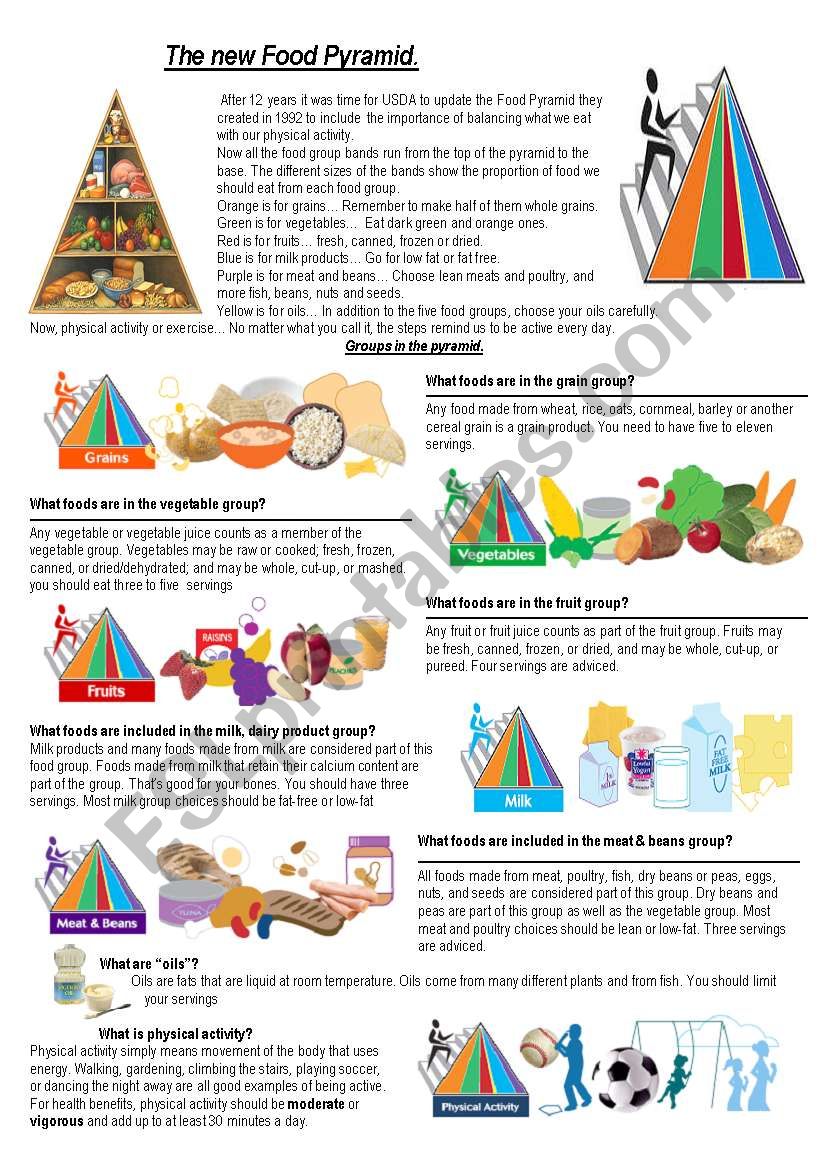 food pyramid and eating habbits