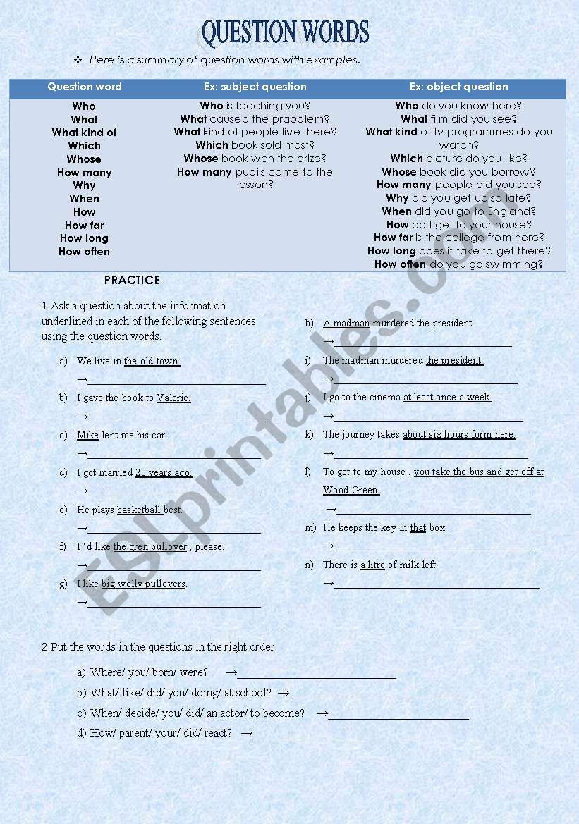 question words worksheet