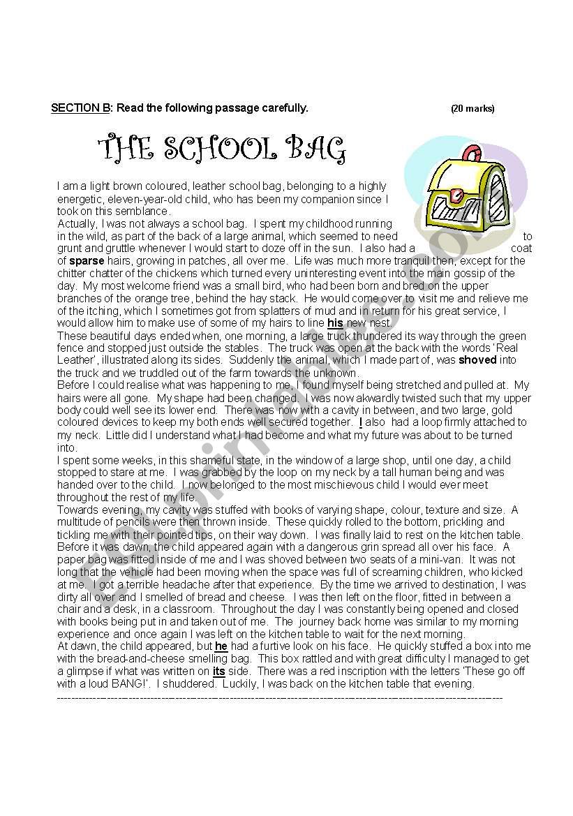 The School Bag worksheet