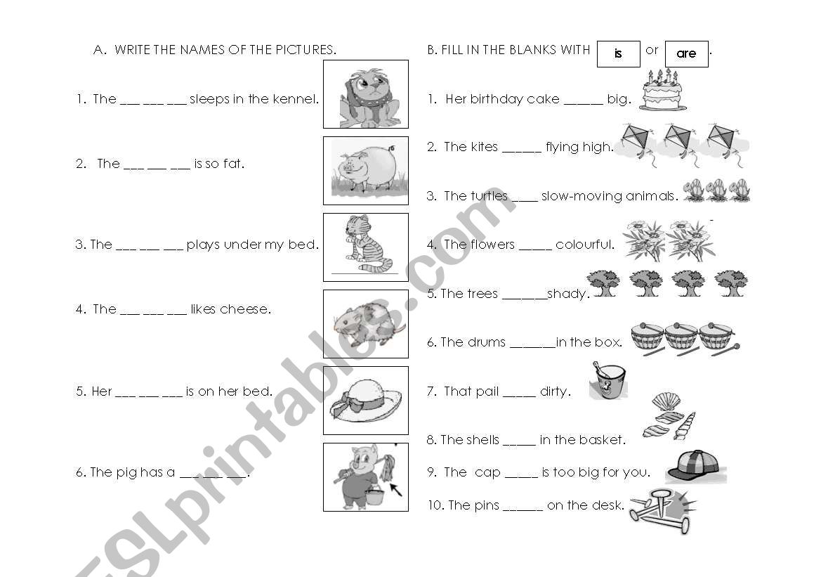 TEST IN ENGLISH FOR KIDS worksheet