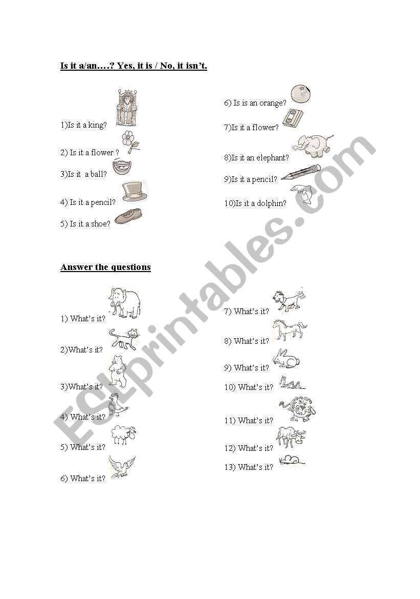 Is it a /an...? What is it? worksheet