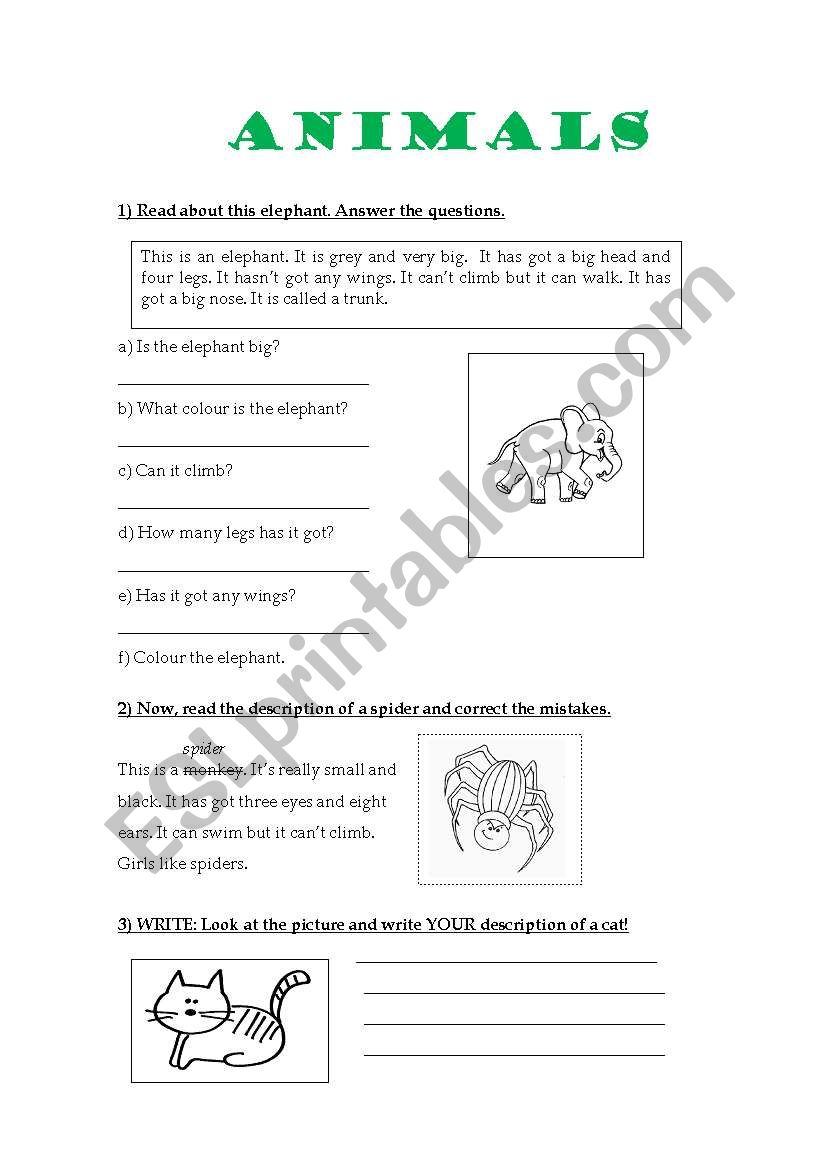 Animals worksheet