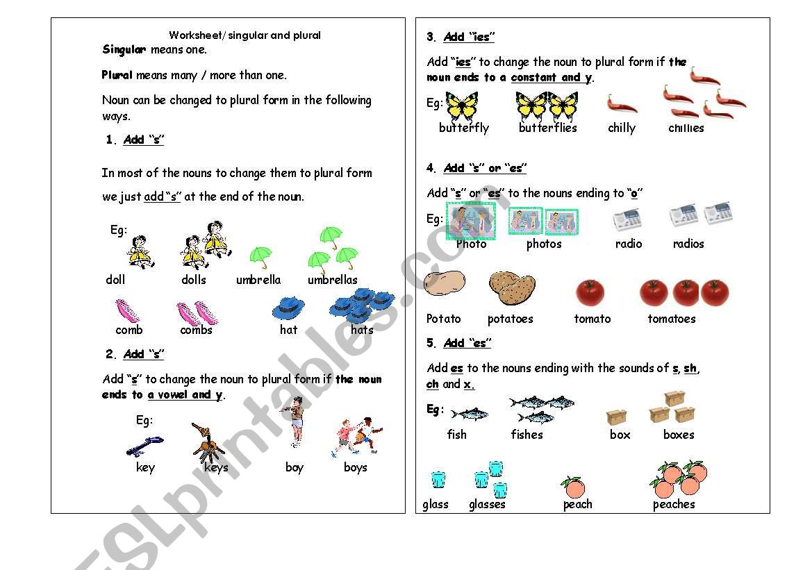 singular and plural worksheet