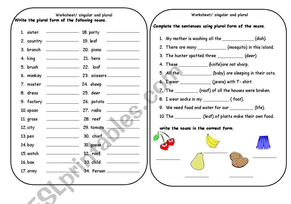 singular and plural worksheet