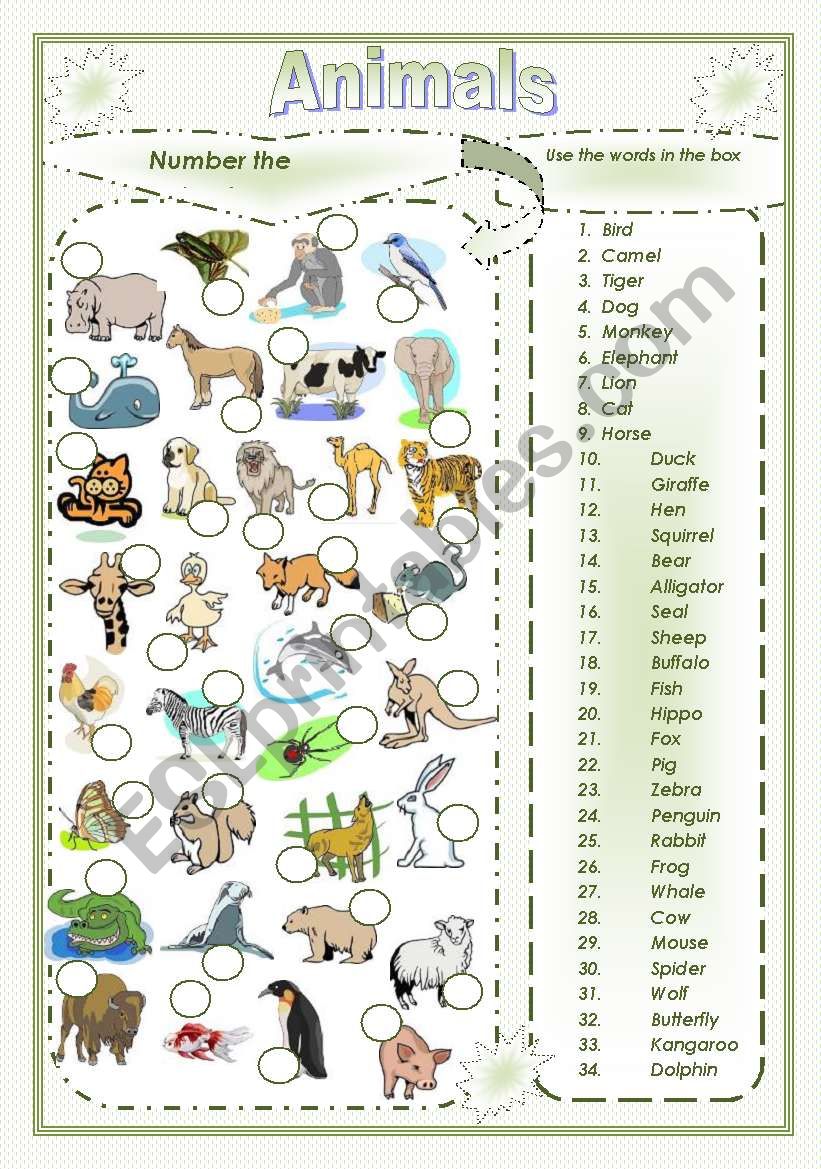 Animals vocabulary worksheet