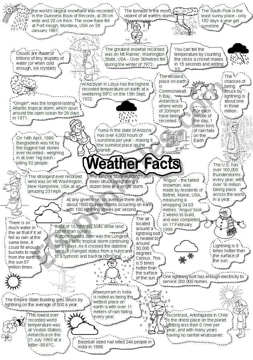 WEATHER FACTS worksheet
