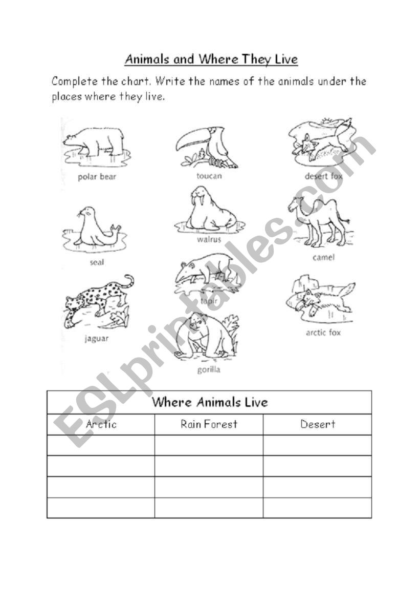 Animals and Where They Live worksheet