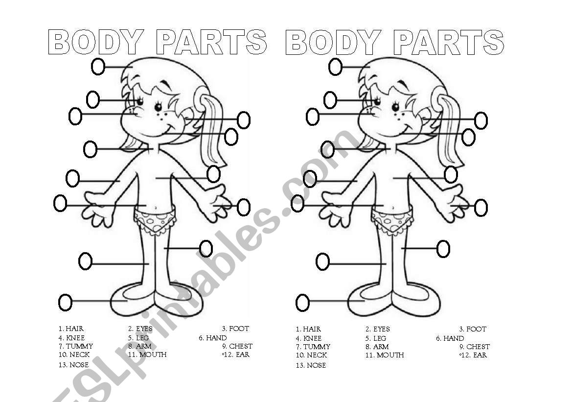 Body Parts B/W worksheet