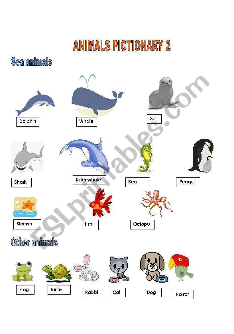 SEA AND OTHER ANIMALS PICTIONARY