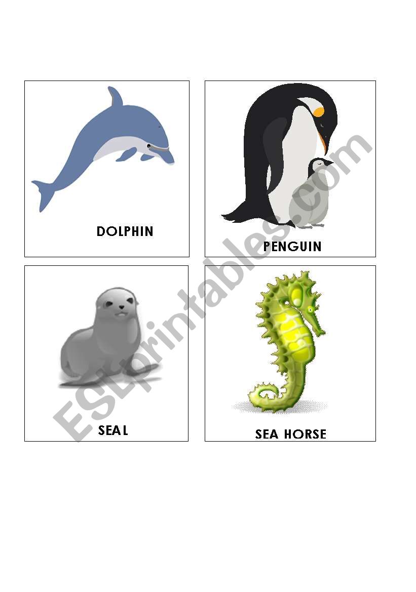 S&O  ANIMALS FLASHCARDS SET 1 