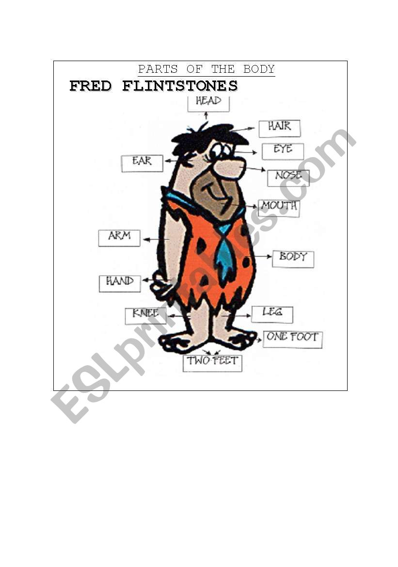 Learn the Parts of the Boby with Fred Flintstones