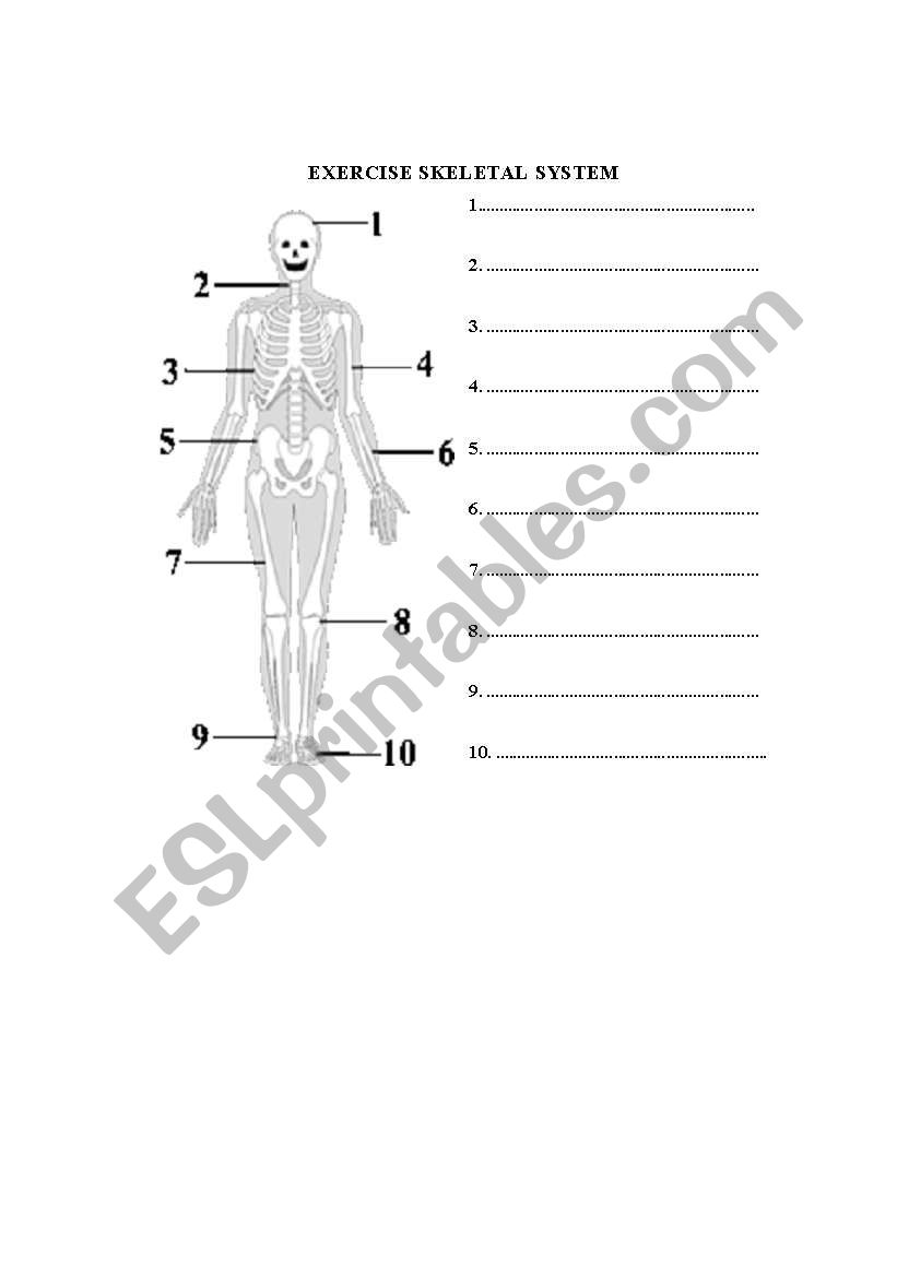 Skeleton worksheet