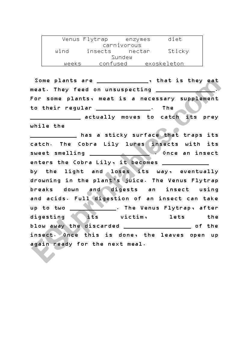 plant worksheet