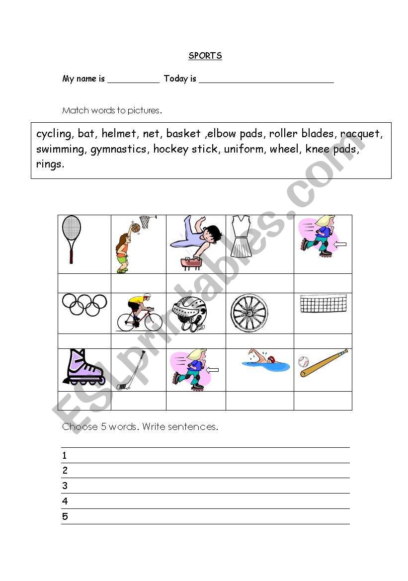 sports worksheet