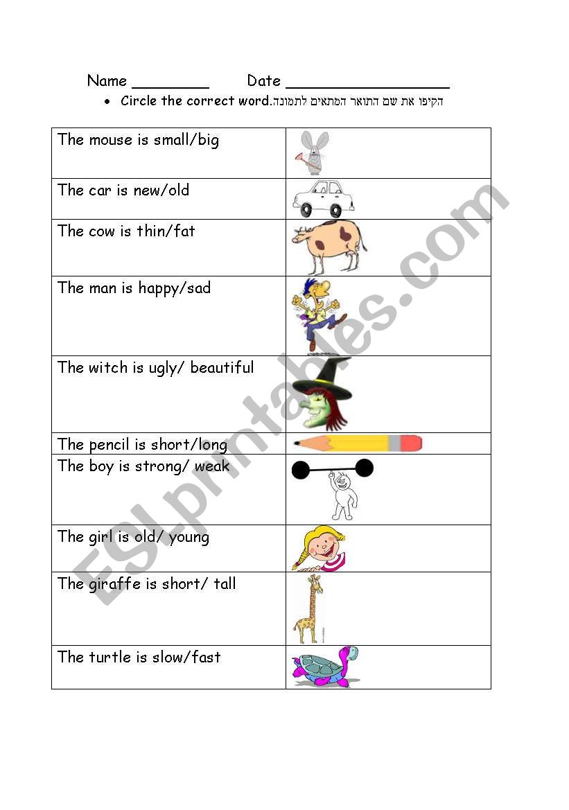 adjectives worksheet