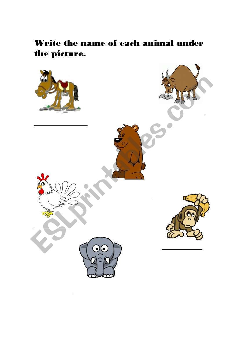 cute animals worksheet