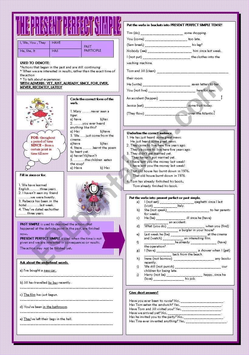 present perfect worksheet