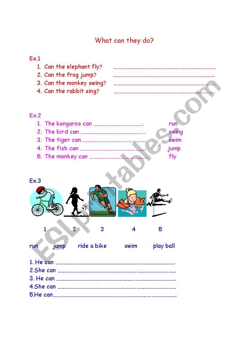 What can they do? worksheet