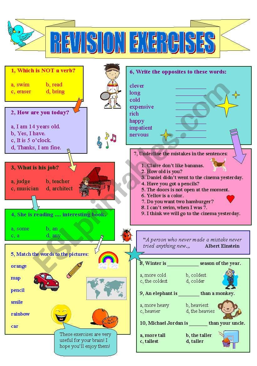 Revision Exercises worksheet