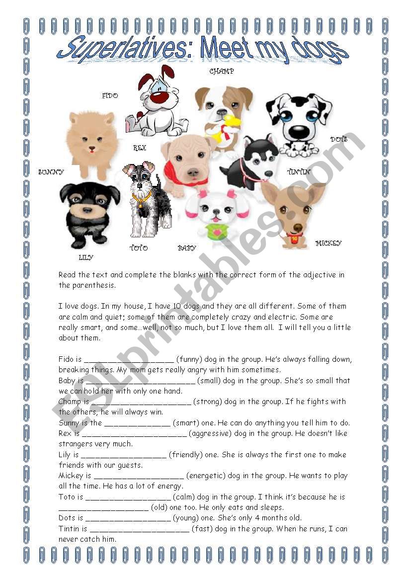 Superlatives: Meet my dogs worksheet