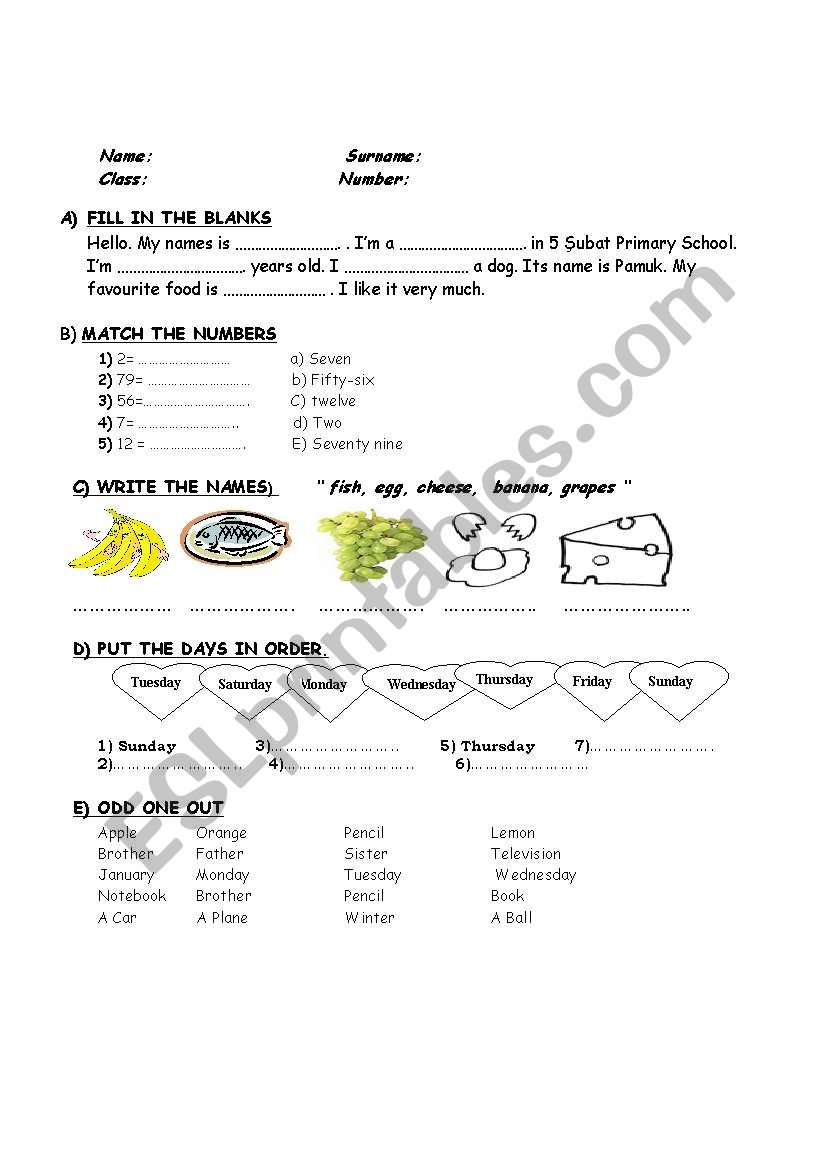 worksheet worksheet