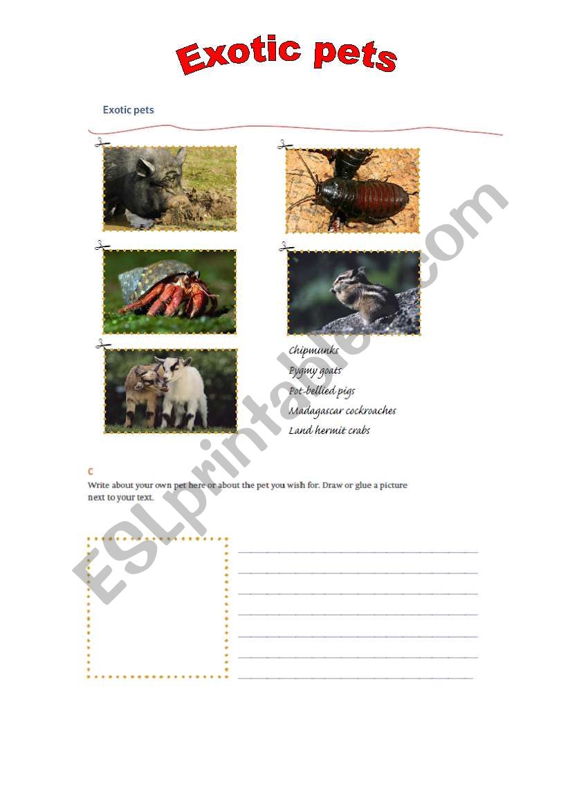Exotic pets part II worksheet