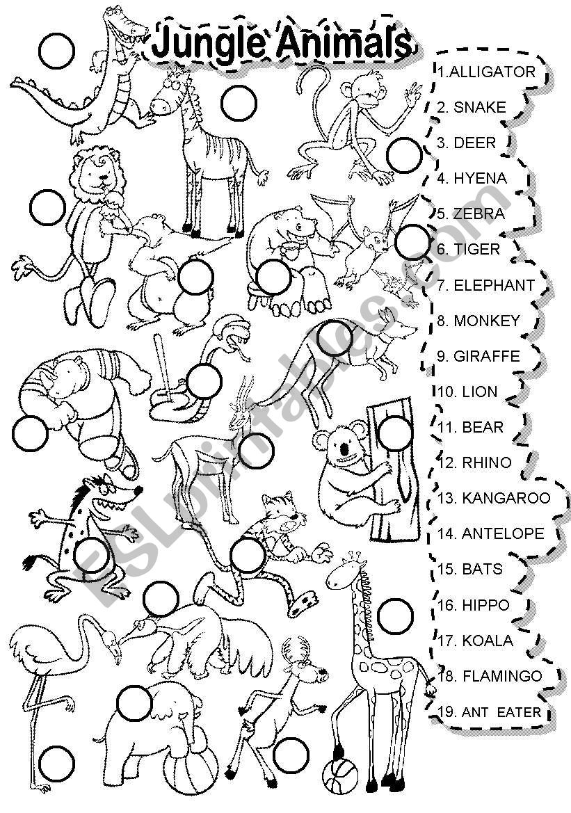 JUNGLE ANIMALS MATCH worksheet