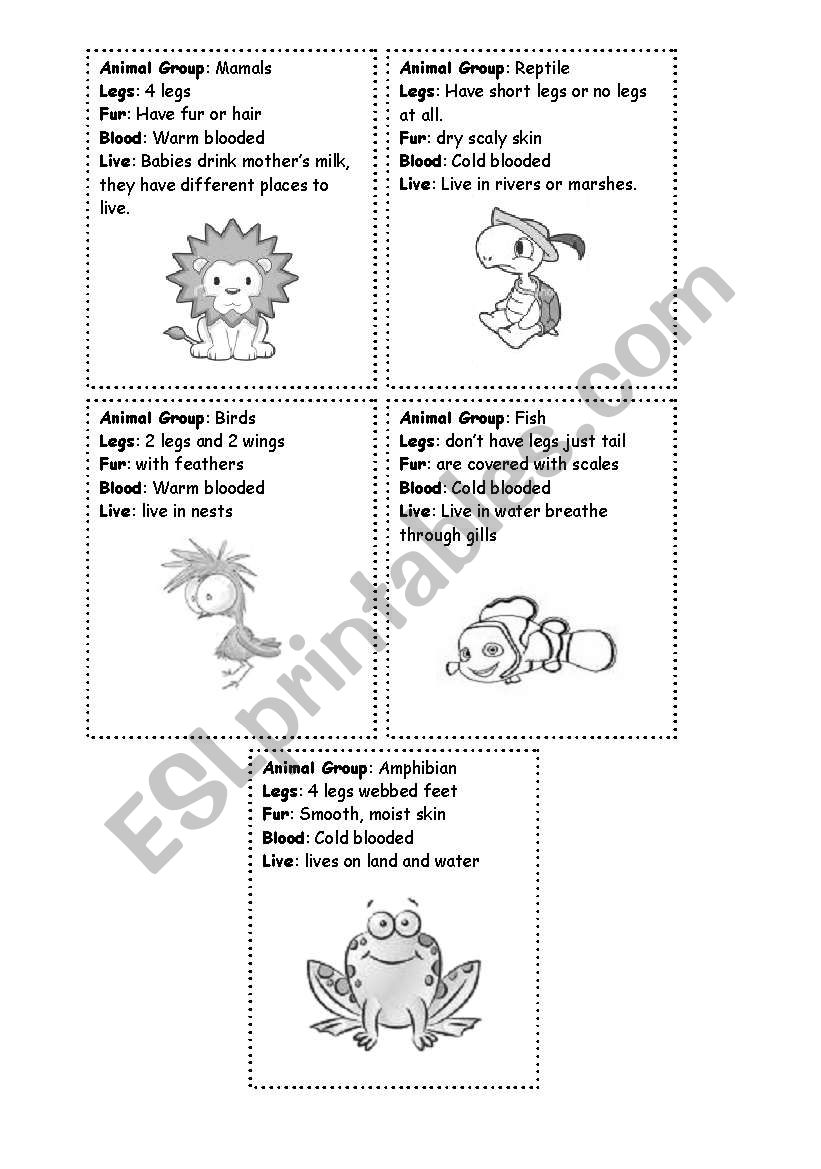 Animal Groups worksheet