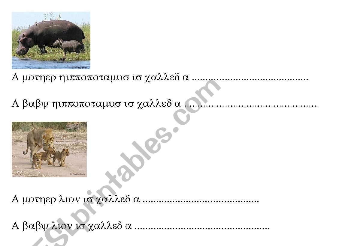 baby animals worksheet