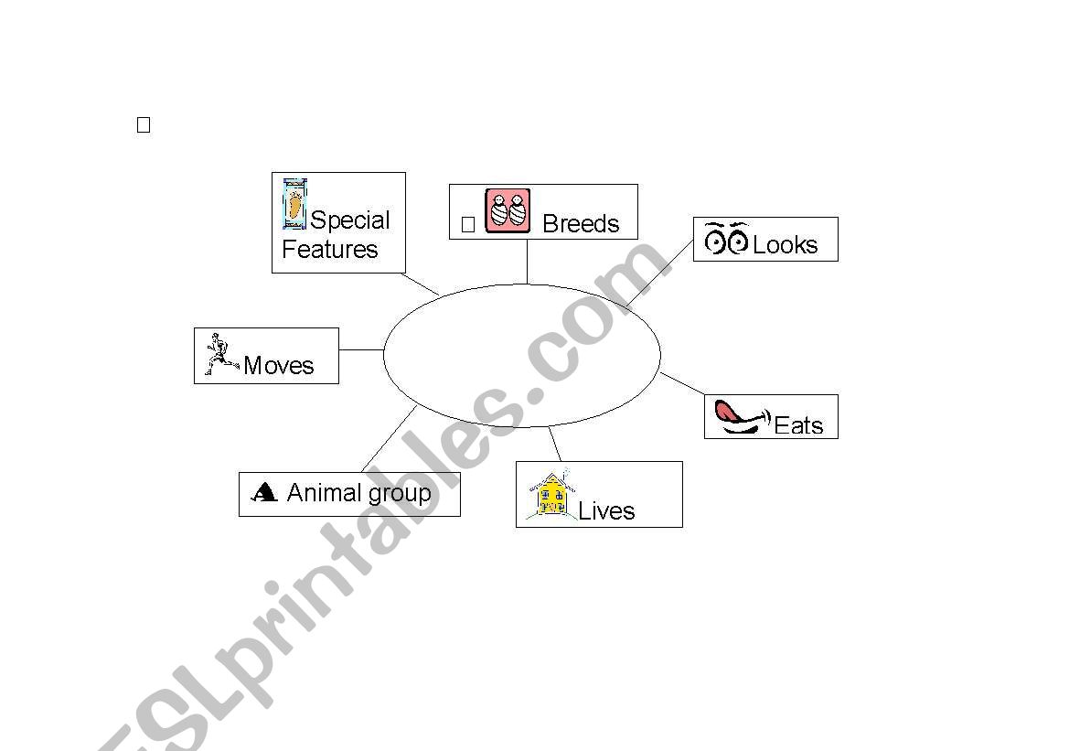 animal mindmap worksheet