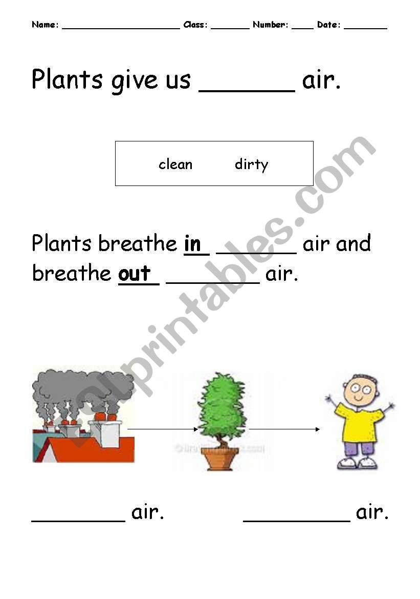 Plants help Humans worksheet