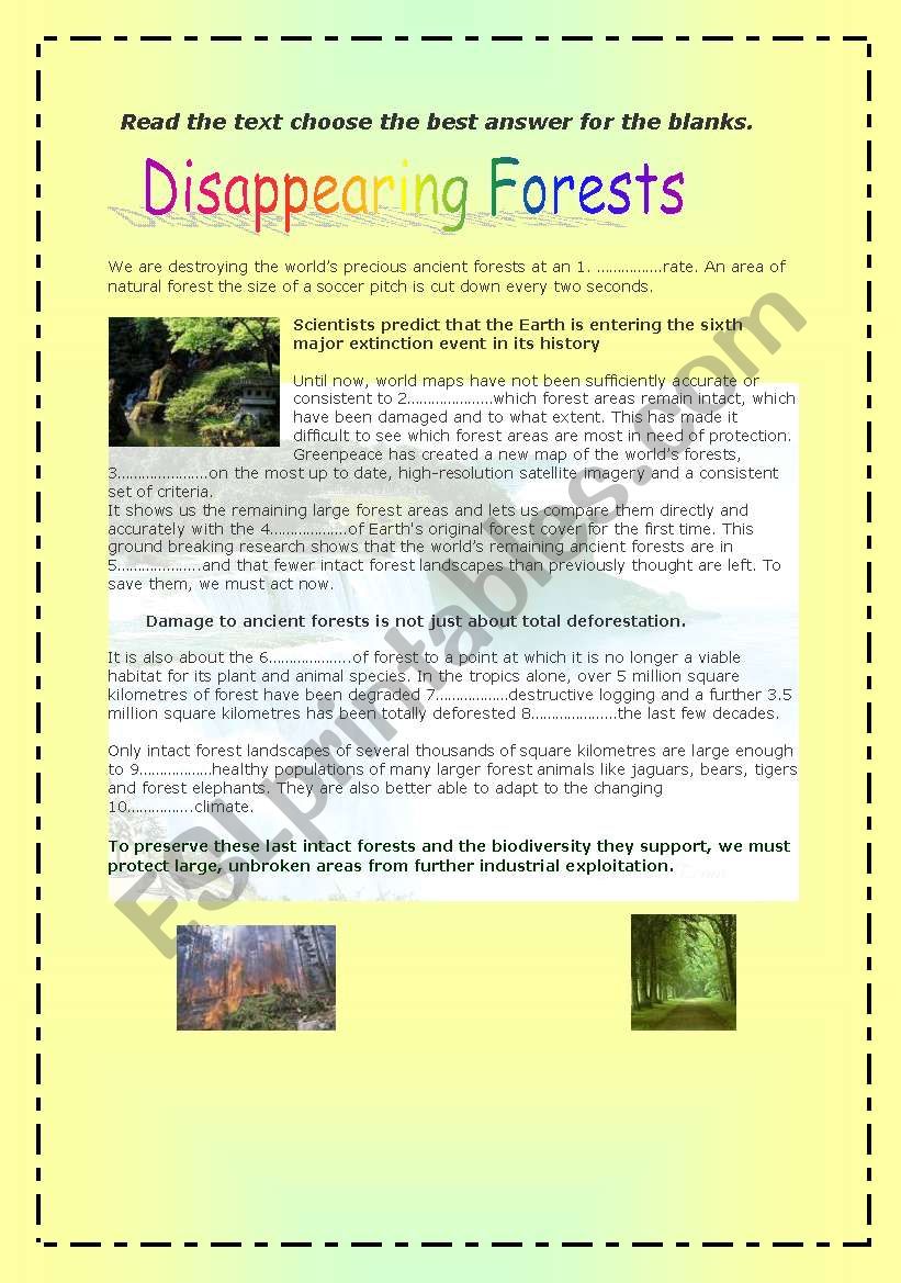 Disappearing Forests worksheet
