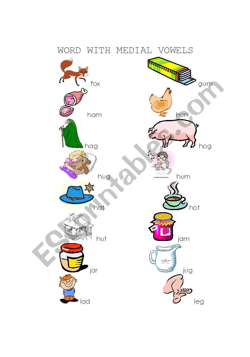 Words with Medial Vowels worksheet