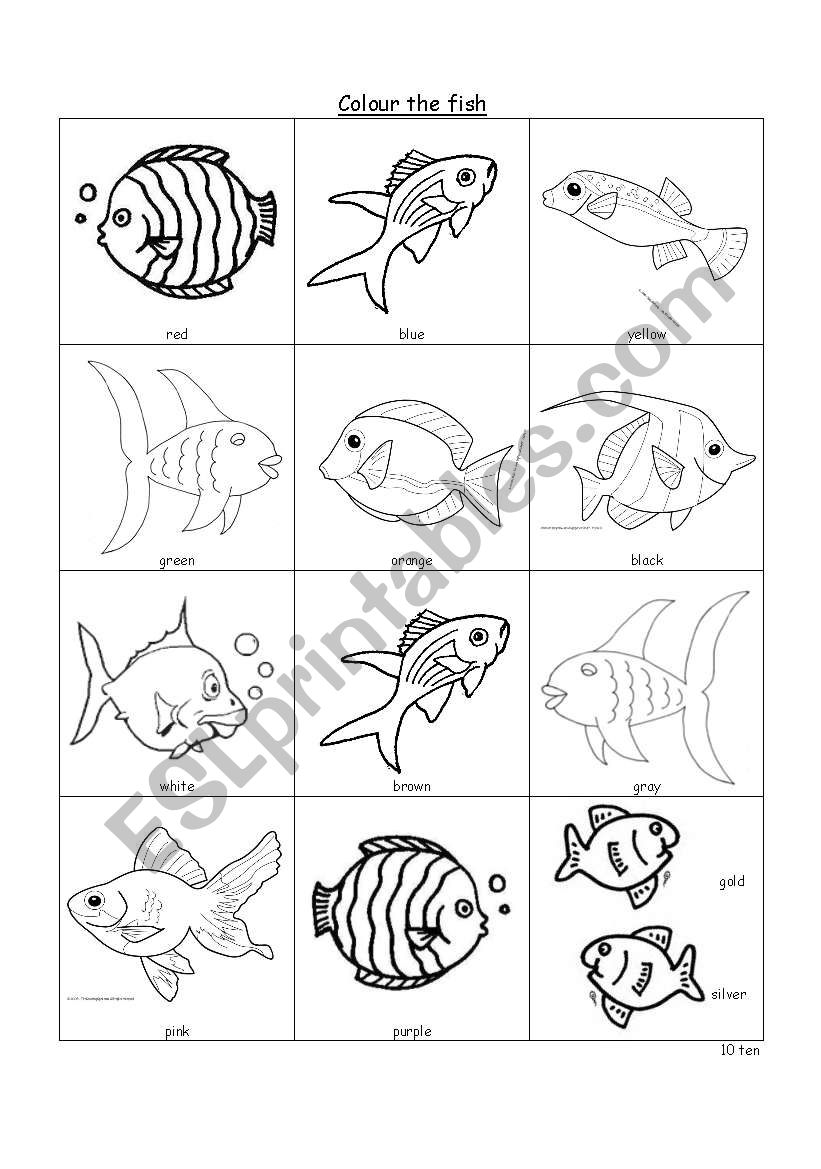 Colour the fish worksheet