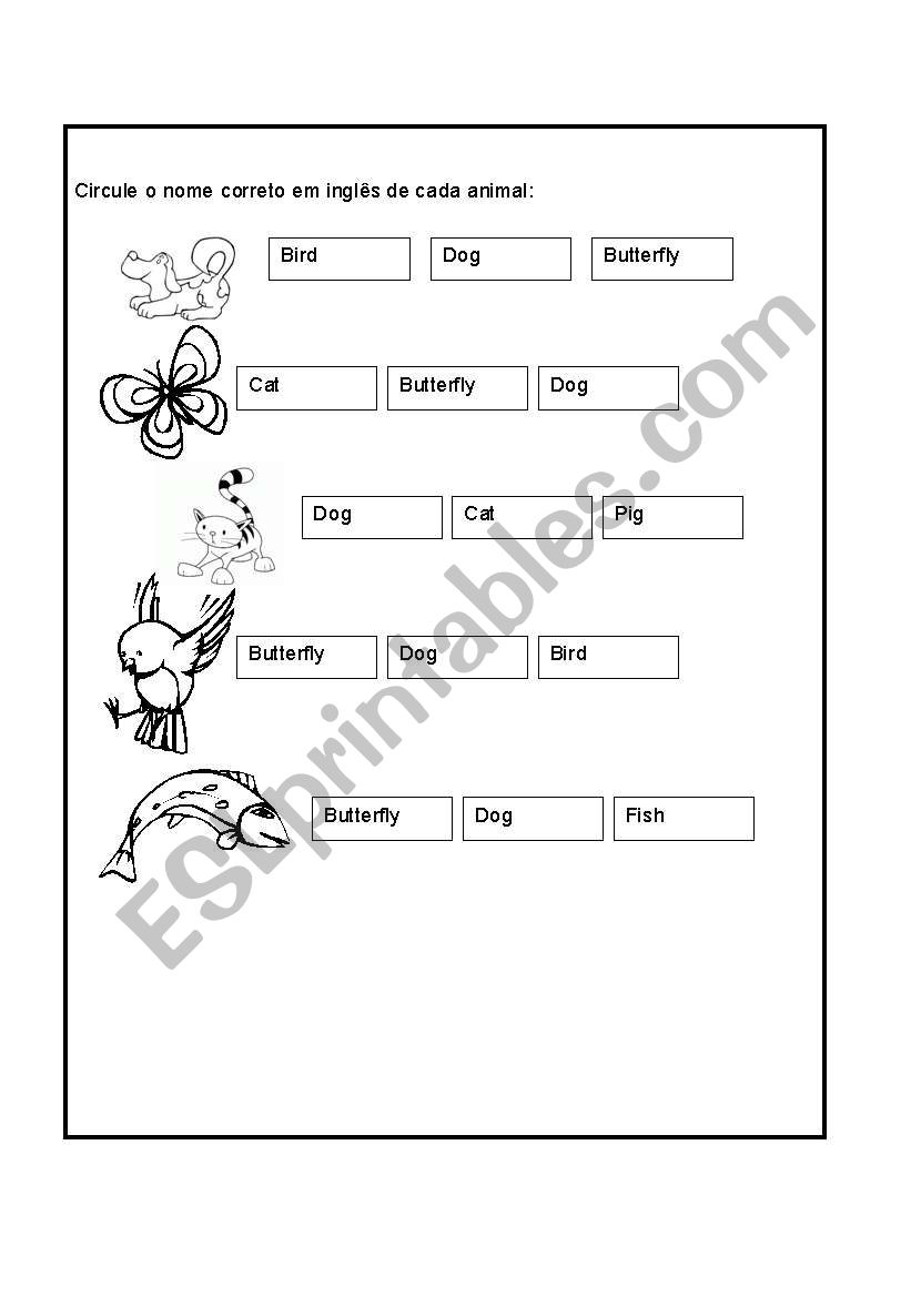 animals worksheet