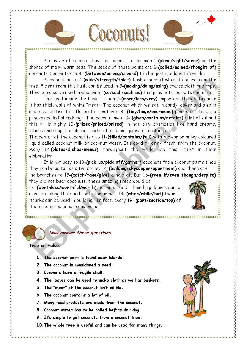 Coconuts! worksheet