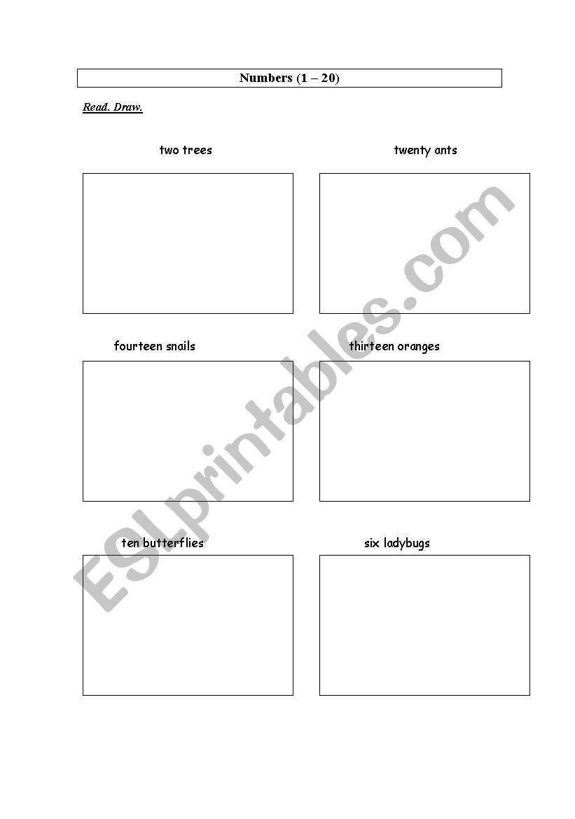 Numbers 1-20. Draw. Bugs. worksheet