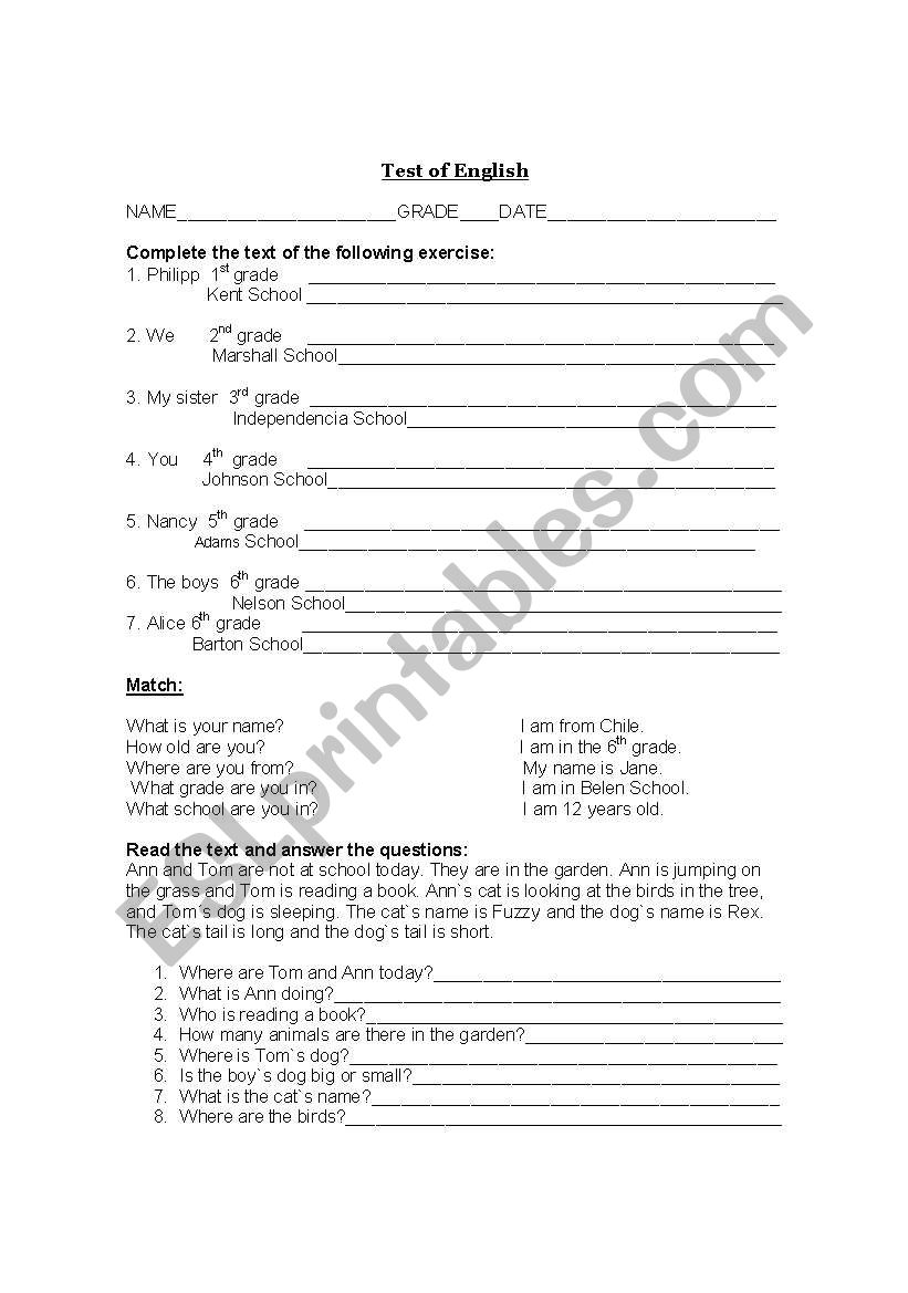 grammar activity worksheet