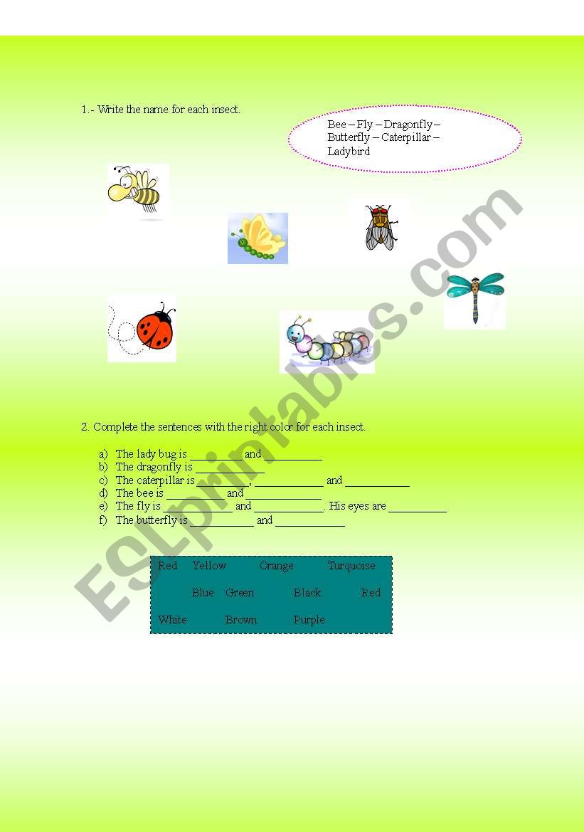 Insects worksheet