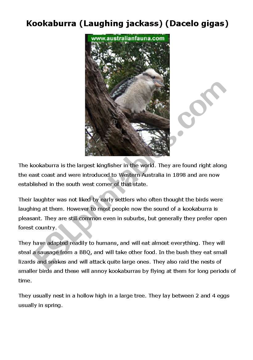 Australian Animals Poster Reading