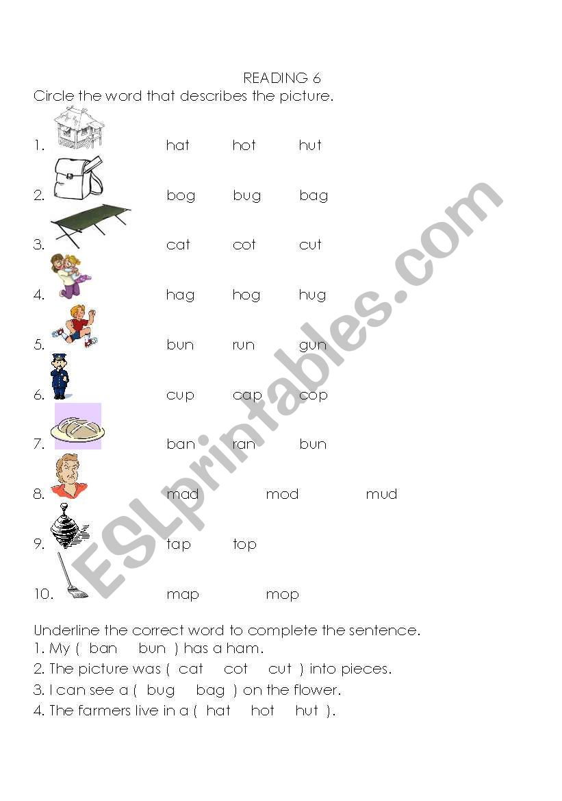 Homonyms worksheet