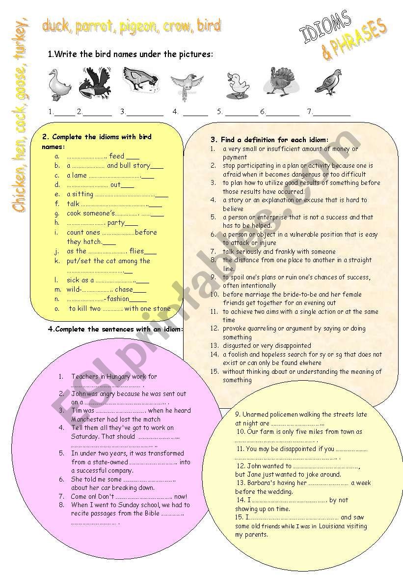 Idioms with birds worksheet