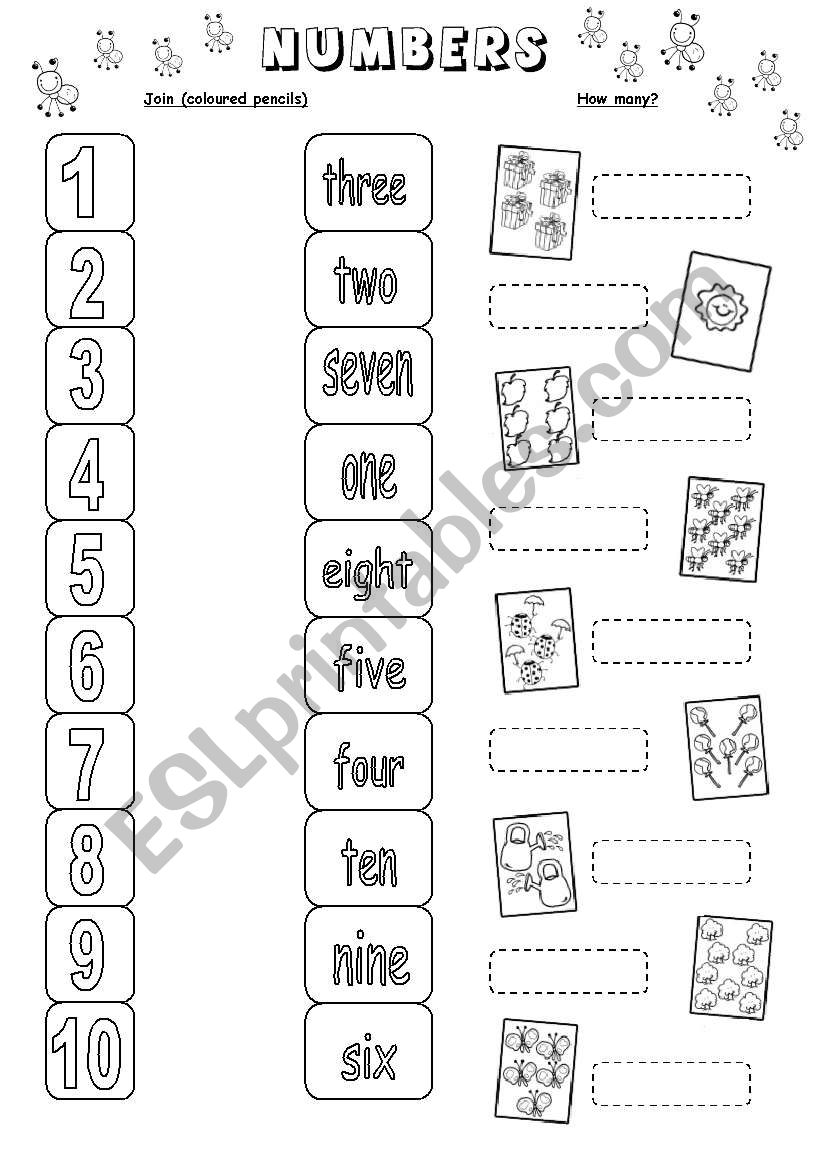 Numbers (1 to 10) - ESL worksheet by miss.cecilia